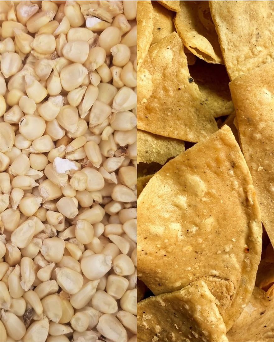 Del grano de maíz al totopo Toto’s